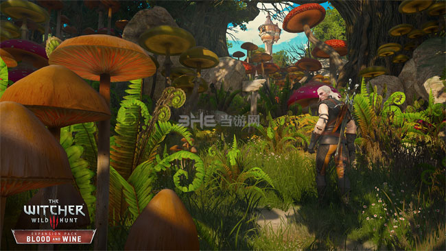 巫师3血与酒截图4