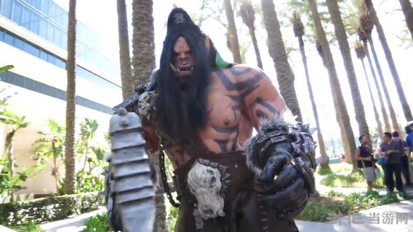 暴雪嘉年华Cosplay图片13