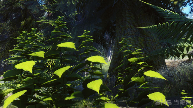 上古卷轴5MOD画质截图2