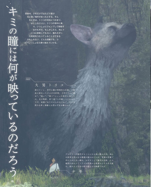 最后的守护者游戏截图3