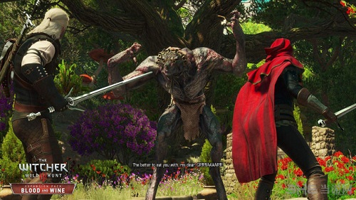 巫师3血与酒截图