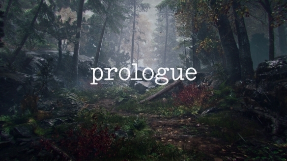 Prologue图片2