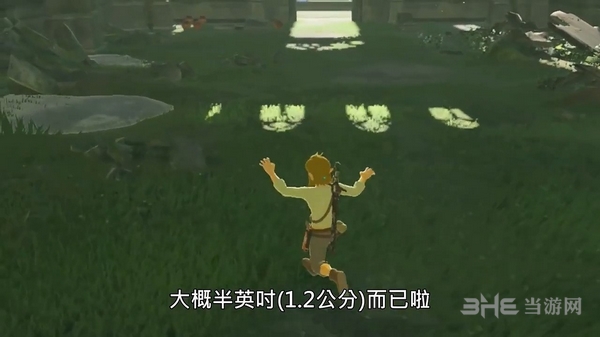 塞尔达传说荒野之息截图4