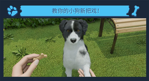 《Dog Trainer》官方介绍