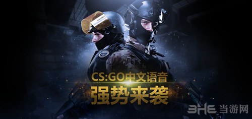 csgo游戏截图1