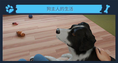 《Dog Trainer》官方介绍