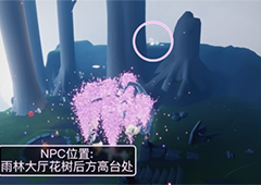 光遇花憩节先祖在哪里 地点位置一览