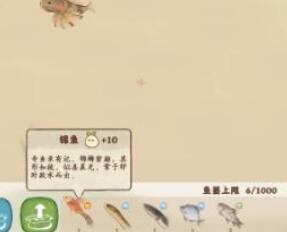 桃源深处有人家鱼饵选择建议