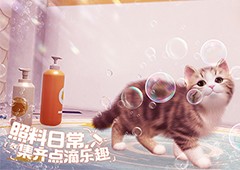 猫咪集结中 西山居休闲社交《我和我的猫》测试开启