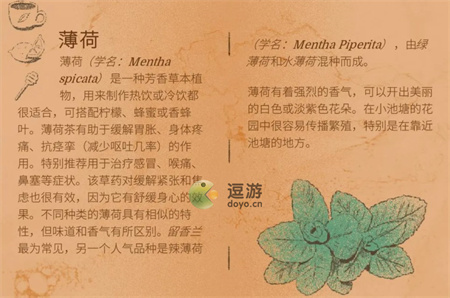 茶杯物语材料收集攻略大全