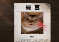 黎明觉醒急寻猫咪任务怎么触发 任务触发攻略