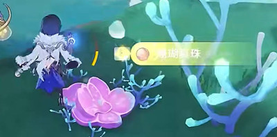 原神3.8版本珊瑚真珠最佳采集路线一览