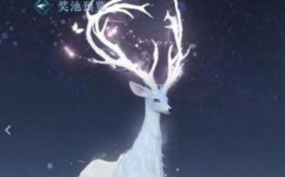 逆水寒手游白鹿保底价格是多少