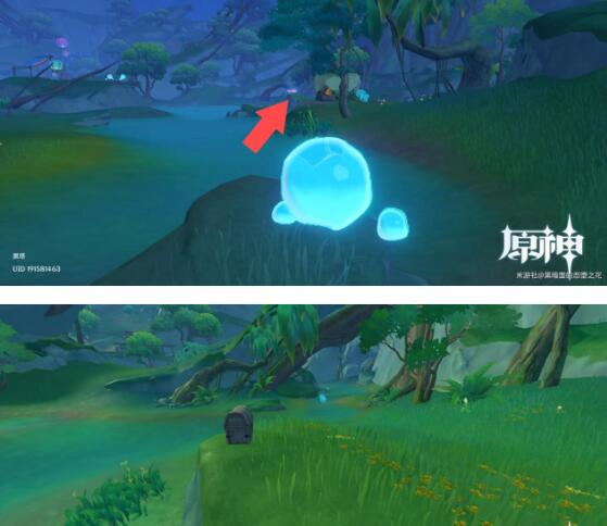 原神琉形蜃境欢兴礼卷宝箱获取攻略 原神琉形蜃境欢兴礼卷宝箱获取攻略