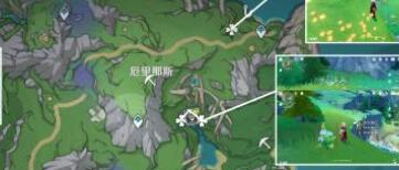 原神4.0柔灯玲采集路线