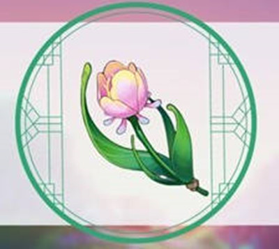 原神4.0虹彩蔷薇全采集路线
