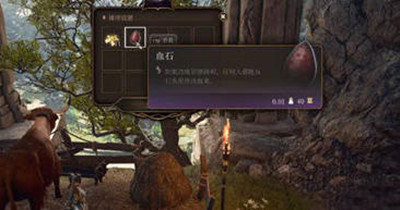 博德之门3公牛对话小袋子怎么获得的
